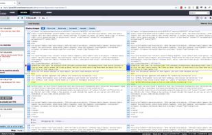 Trace Versions, Identify Defects and Bugs