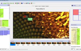 CodecVisa screenshot 1