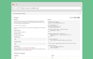 Interview Report for Companies