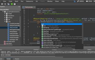 Codenvy screenshot 1