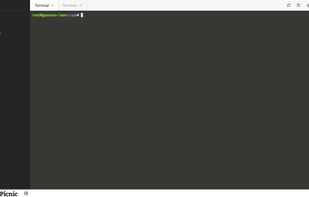 Access your consoles through a web-based terminal.