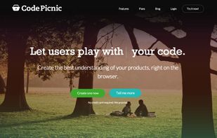 CodePicnic screenshot 3