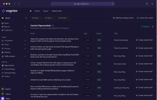 Cognizo screenshot 2