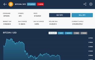 Coin history, charts, and snapshot