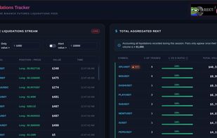 liquidations scanner
