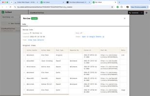 Optional review for extraction result. You can reject or edit before add rows to sheet.