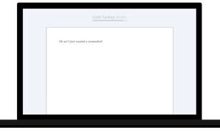 Cold Turkey Writer screenshot 2
