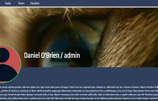 CollaboDev screenshot 1