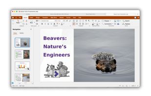 Collabora Office screenshot 1