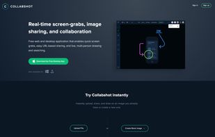 Website. Landing page