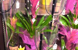 Color Binoculars screenshot 1