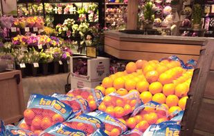 Color Binoculars screenshot 1