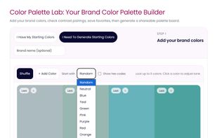 Generate harmonious color palettes or start with custom base colors, then refine tones and relationships in real time.
