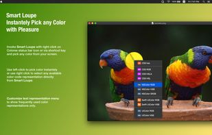 Coloree screenshot 2