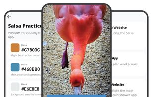 Colors Capture Pro screenshot 1