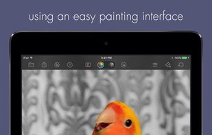 Color Splash screenshot 2