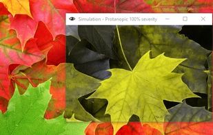 Active use of Protanopic filter