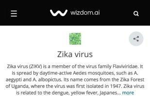 wizdom.ai screenshot 1