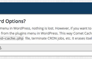 Comet Cache screenshot 1