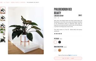 Commerce.js screenshot 3