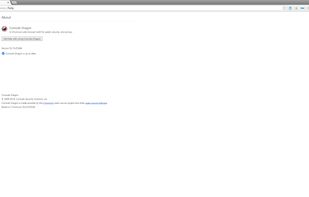 Comodo Dragon Internet Browser screenshot 3