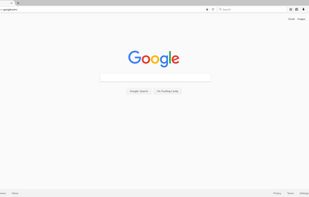 Comodo IceDragon screenshot 1