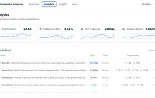 Competitor Analyzer screenshot 1
