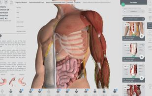 Complete Anatomy screenshot 1