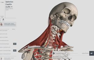 Complete Anatomy screenshot 1