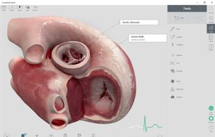 Complete Heart screenshot 1