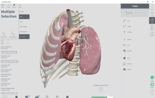 Complete Heart screenshot 3