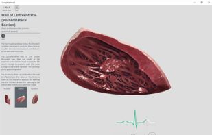 Complete Heart screenshot 2