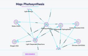 ConceptMesh screenshot 1