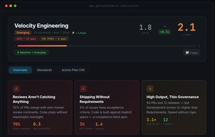 Team Overview (Free)