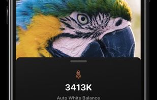 Cone Color Picker & Identifier screenshot 1