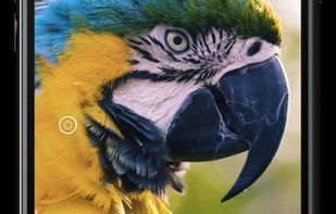 Cone Color Picker &amp; Identifier screenshot 1