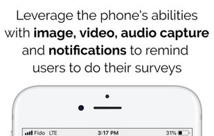 Confirmit screenshot 2