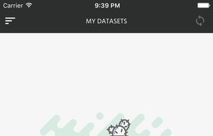 Conseris screenshot 1