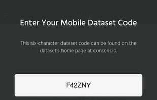 Conseris screenshot 1