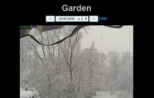 Snapshot History of Garden Camera