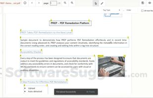 PREP: Document Remediation Tool