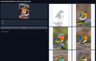 ControlNet screenshot 1