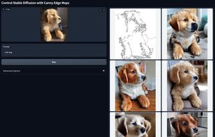 ControlNet screenshot 1