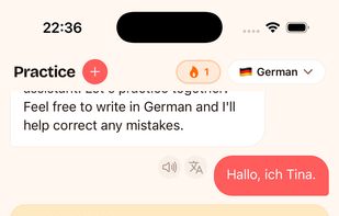 Conversation - Voice Input