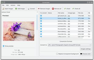 Converseen screenshot 1