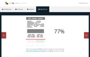 Don't have time to watch lengthy sessions or "decode" numbers and you are on your way to an important meeting with your marketing team? The “Big Picture” tab is what you’ve been looking for! View in just few seconds what happened on your website and make decisions on what to improve in order to increase conversions.
