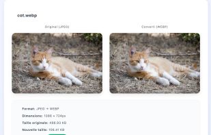 Convertito Jpg to Webp Compression demo