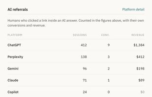 AI referrals: visitors who clicked through from ChatGPT, Perplexity, Gemini, Claude and Copilot, with their conversions and revenue.