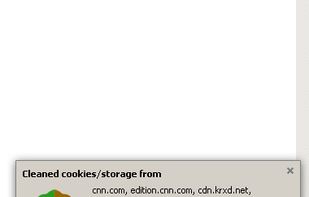 “Active mode” automatically delete cookies after set delay. Optional.