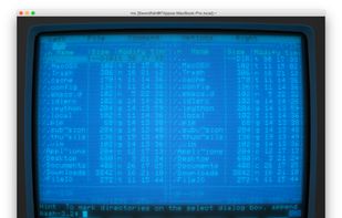 Cool Retro Term screenshot 2